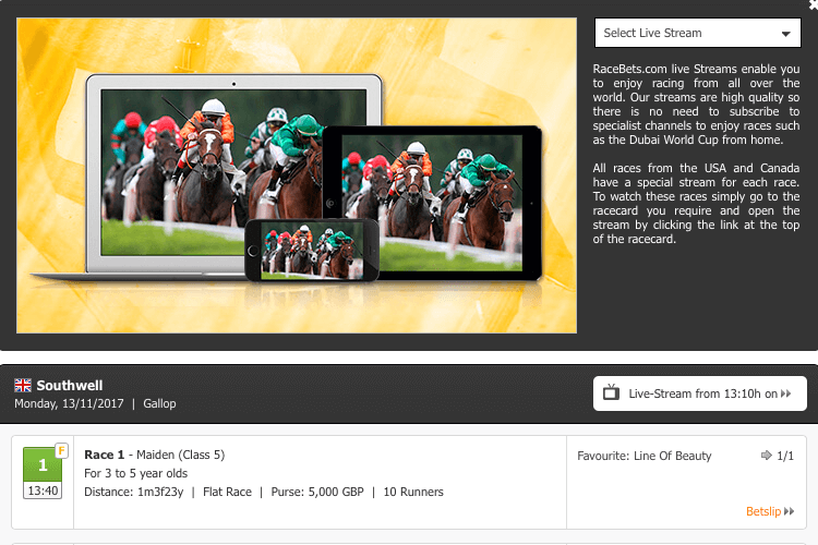 Live Streaming at RaceBets.com