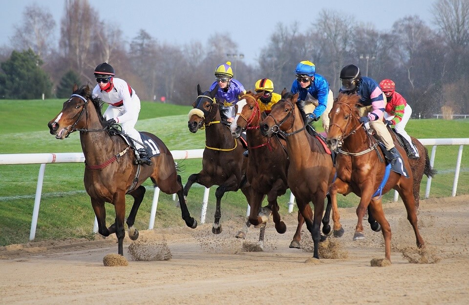 Horse Racing Prediction