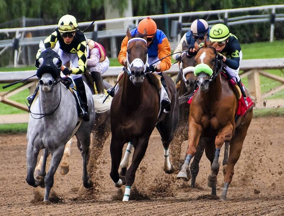 Horse Horse