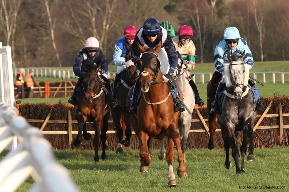 Horse Racing Handicap