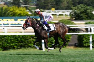 shutterstock 2666430143