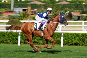 shutterstock 2675246447