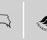 Derby County F.C. vs Swansea City A.F.C.