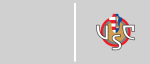 AC Milano vs U.S. Cremonese