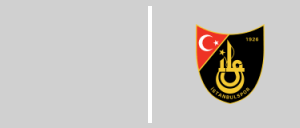 MKE Ankaragücü vs İstanbulspor